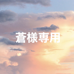 ✨蒼様専用です✨