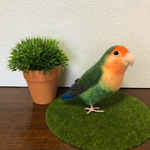羊毛フェルト オーダー品