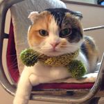 猫ちゃん用手編みマフラー※マスタードグリーン