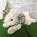 うさぎのハーネス　8