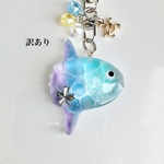 【19日20時販売分】⚠️訳あり･送料無料⚠️マンボウちゃん #10