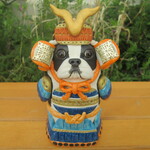 鎧兜★ボストンテリア①
