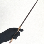 桜色の魔法の杖　Magic Wand
