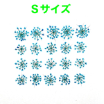 【20枚】レースフラワー の押し花（ブルー）Ｓサイズ