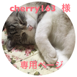 cherry163 様   専用ページ