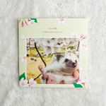 ちょん助 かぁちゃんのふぉとぶっく🦔♥️