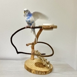 【rihosugi様専用】自然木（ツタ）のぐるぐる卓上パーチ【文鳥・セキセイインコ・コザクラインコ】鳥とまり木