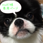 ht様専用ページ