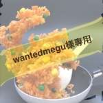 wantedmegu様専用