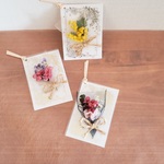 ドライフラワー　ナチュラル　ミモザ　メッセージカード＆タグ　３点で1セット♡　ミニ花束　誕生日や母の日の一言メッセージにどうぞ♪　　