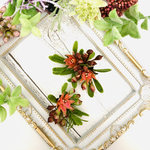 庭木の赤い花のイヤリング、イヤークリップ