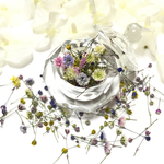 Irregular＊Secret Garden＊