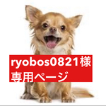 専用ページ