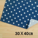 😺30Ｘ40㎝ランチョンマット⭐ブルースター
