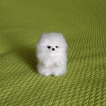 ポメラニアン  ホワイト パピー　羊毛フェルト