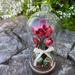 【専用オーダー品】~TULIP~ ガラスのドームと飴細工のチューリップ*॰¨̮