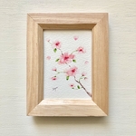🌸透明水彩画「ふんわりさくら」イラストミニ額  春　花　桜　サクラ　プチギフト ギフト　母の日　入園入学🌸