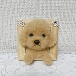 羊毛フェルト  犬  トイプードル〈アプリコット〉 ミニフレーム入り
