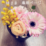 林さま専用ページ