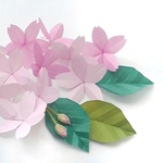 折り紙　ツボミ付きのさくら　桜と葉　《壁面　飾り》