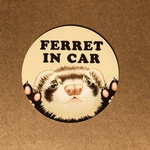 ⭐️SALE⭐️屋外向け🌟マグネットシート🌟Ferret in car🐹