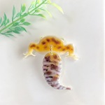 しっぽが揺れるおしりブローチ＊ヒョウモントカゲモドキ
