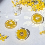 ✨今年収穫🌼ふわふわ可愛いレモンイエローミモザのドライフラワー花束/リースのサイズが選べるヘアゴム