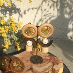 mimosa×wood1