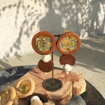 mimosa×wood2