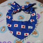 バンダナシュシュ(青国旗🎌)