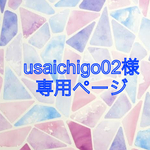 ✳︎usaichigo02様専用ページ✳︎
