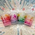 Hawaii直輸入 ショットグラス④