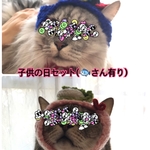 再販】①子供の日セット(魚付き).かぶと.端午の節句.5月.ニット帽.猫.被り物.コスプレ.毛糸