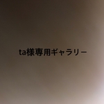 ta様専用ギャラリー