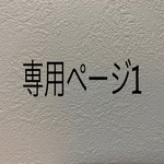 専用ページ1