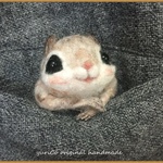 【オーダー品】癒しの妖精✿momoちゃん　いろんなトコからちょこんと顔出しバージョン2