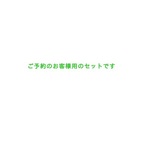 クリスマスドラゴン3点セット(御予約様用)