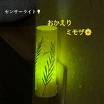 センサーライト💡〜ミモザ〜