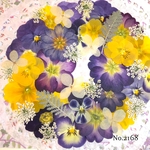 ♡new♡  ♡可愛い押し花セット♡ ♡たくさん入って使いやすい押し花セット♡