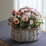 * ころんと可愛いバスケットの寄せ植え * 