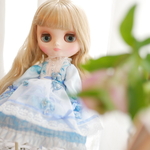 💙The Gentle Stream💙