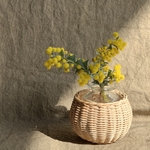 籐の花瓶