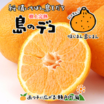 希望の島 樹上完熟不知火 特選品 大玉 約1.5kg(6玉) デコポンと同じ品種 愛媛 中島産 みかん