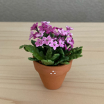 さくら草　3
