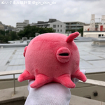 ピンクのメンダコI【3月31日(水)21:00頃〜】