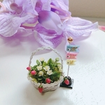苺　鯉のぼり　ミニチュアいちご