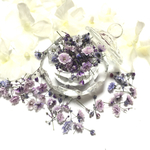 Irregular＊Wisteria Rose＊