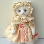 15cmビスコーステディ猫