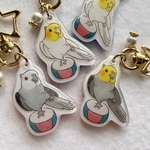 〈ノーマルオカメインコ〉スサァ〜のキーホルダー