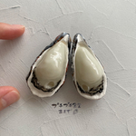 ミニチュア生牡蠣そのまんま（1個）